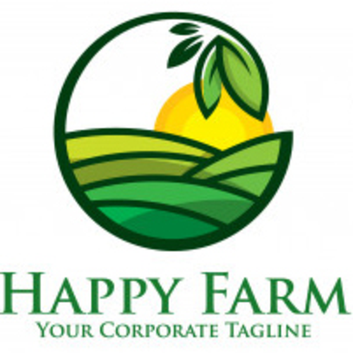 oxygen sensor (9,0 - 13mV) performance fully checked at rEvo factory